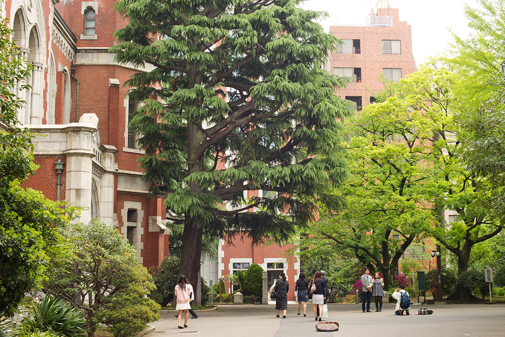 慶應義塾大学 三田キャンパス　図書館旧館の外観